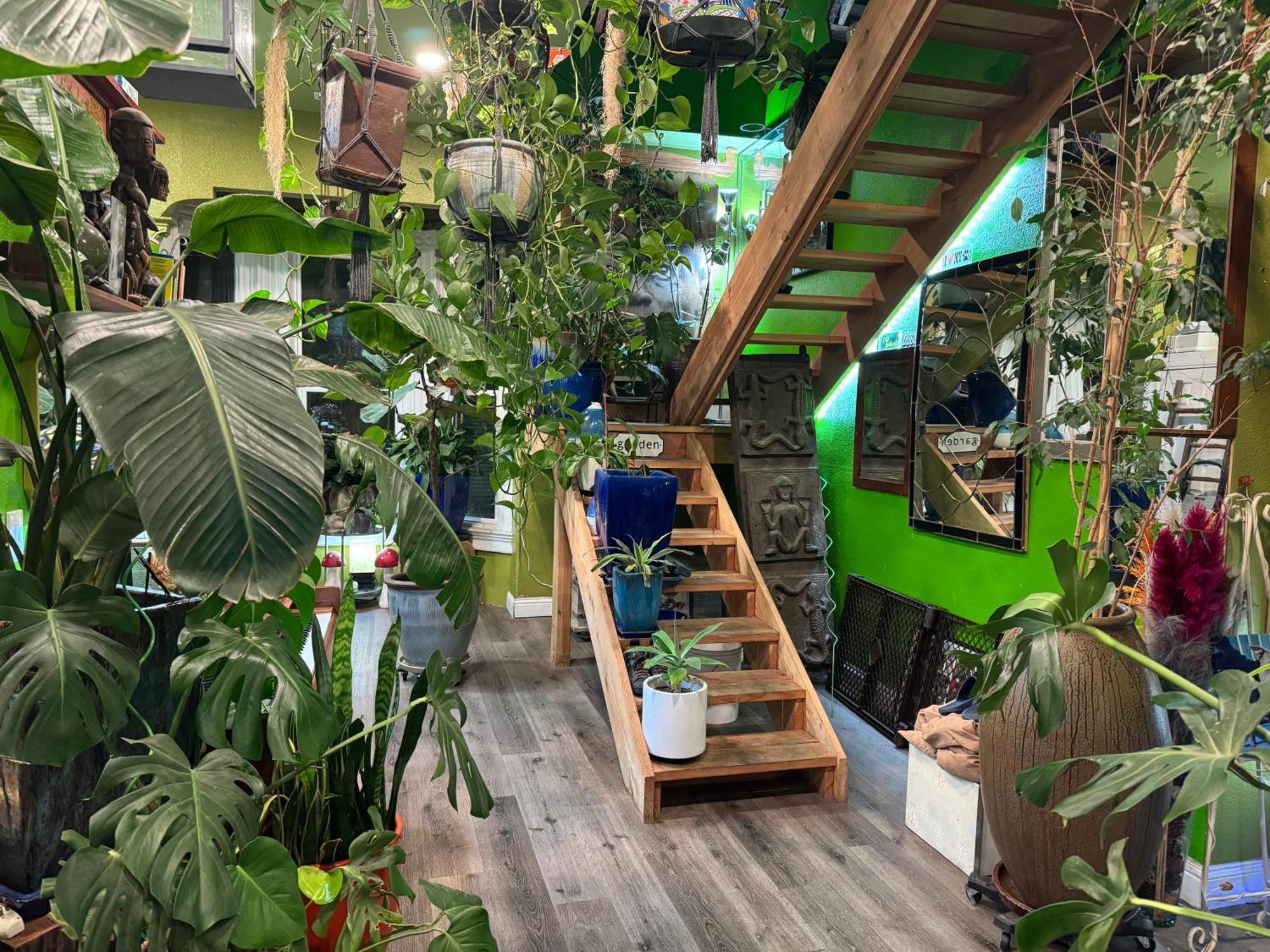 Homestay Adeline Gardens